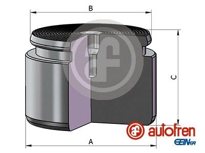 Поршень тормозного суппорта SEINSA AUTOFREN D025625