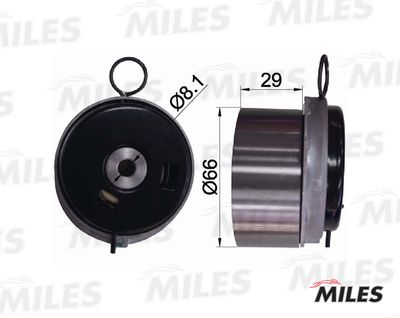 Ролик ремня ГРМ Miles AG02018