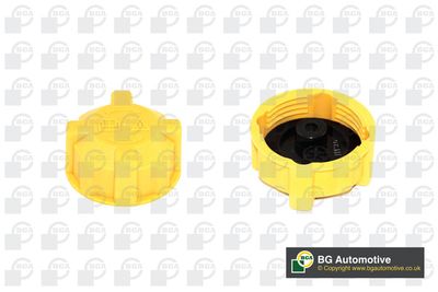 Крышка бачка расширительного BGA CC3033