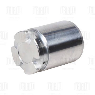 Поршень заднего суппорта TRIALLI RCF084764