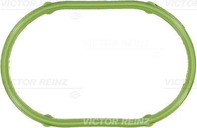 Прокладка впускного коллектора VICTOR REINZ 713409700