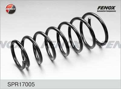 Пружина подвески FENOX SPR17005