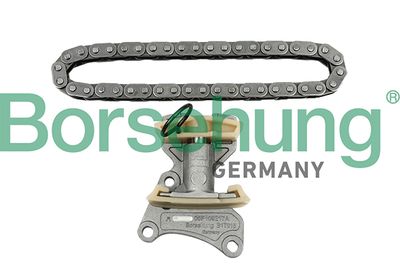Комплект цепи ГРМ Borsehung B18847