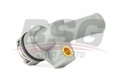 Термостат BSG BSG30126002