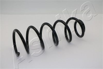 Пружина задняя STANDARD SPRINGS ST119001R