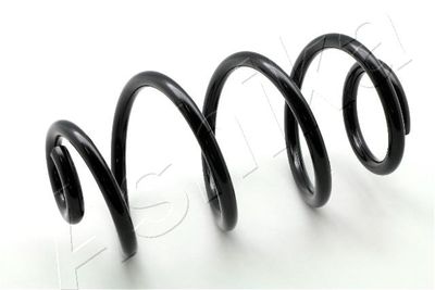 Пружина задняя STANDARD SPRINGS ST123053R