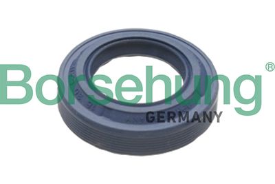 Сальник штока КПП Borsehung B17828