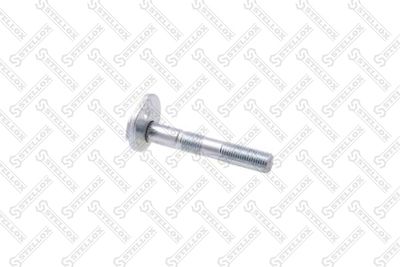 Болт с эксцентриком STELLOX 7901102SX