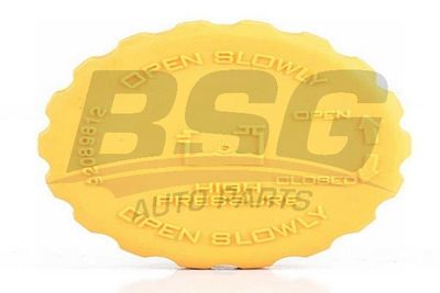 Крышка бачка расширительного BSG BSG65551001