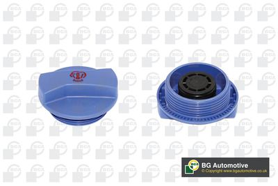 Крышка бачка расширительного BGA CC3015
