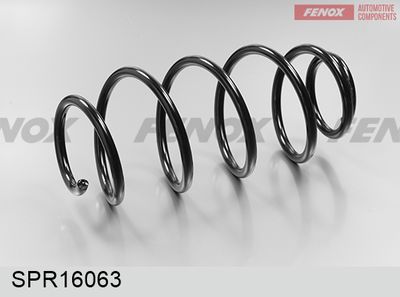 Пружина подвески передняя FENOX SPR16063