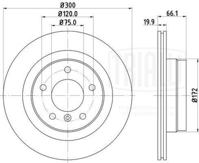 Диск тормозной задний TRIALLI DF261005