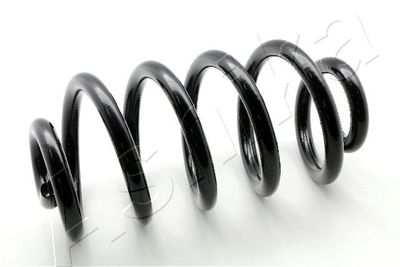 Пружина задняя STANDARD SPRINGS ST123079R