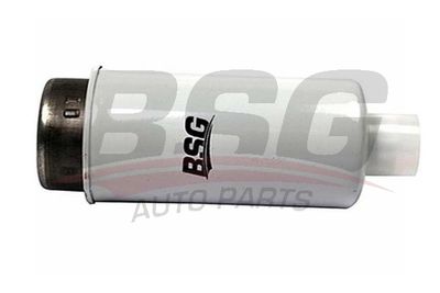 Фильтр топливный BSG BSG30130010