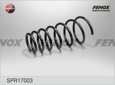 Пружина подвески FENOX SPR17003