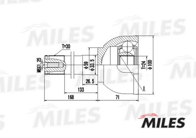 ШРУС наружный Miles GA20488
