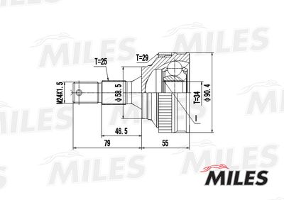 ШРУС наружный Miles GA20053