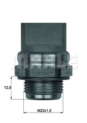 Термостат MAHLE TSW31