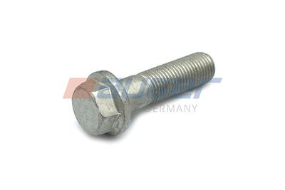 Болт AUGER 51525