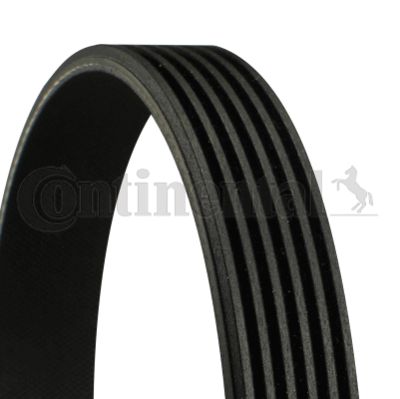 Ремень поликлиновой CONTITECH 6PK1293