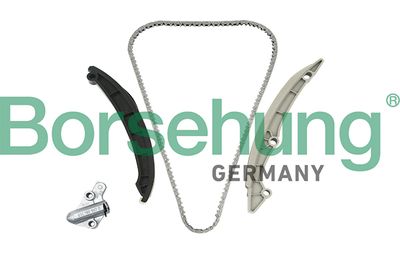 Комплект цепи ГРМ Borsehung B18982