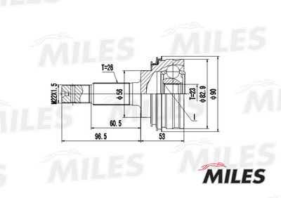ШРУС наружный Miles GA20469