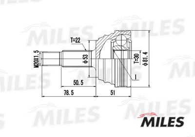 ШРУС наружный Miles GA20520