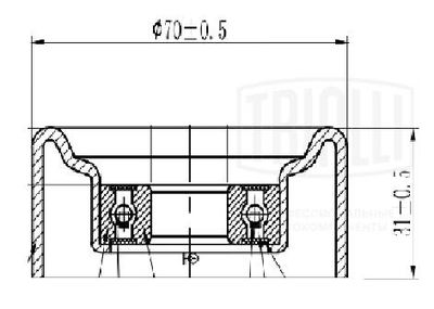 Ролик натяжной приводного ремня TRIALLI CM5846