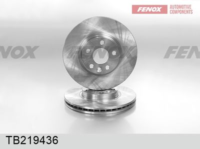 Диск тормозной передний FENOX TB219436