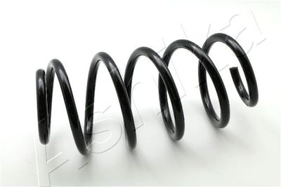 Пружина передняя STANDARD SPRINGS ST102061F