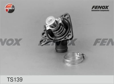 Термостат в корпусе FENOX TS139