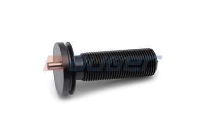 Болт тормозного суппорта TTT 13451