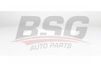Фильтр салона BSG BSG60145032