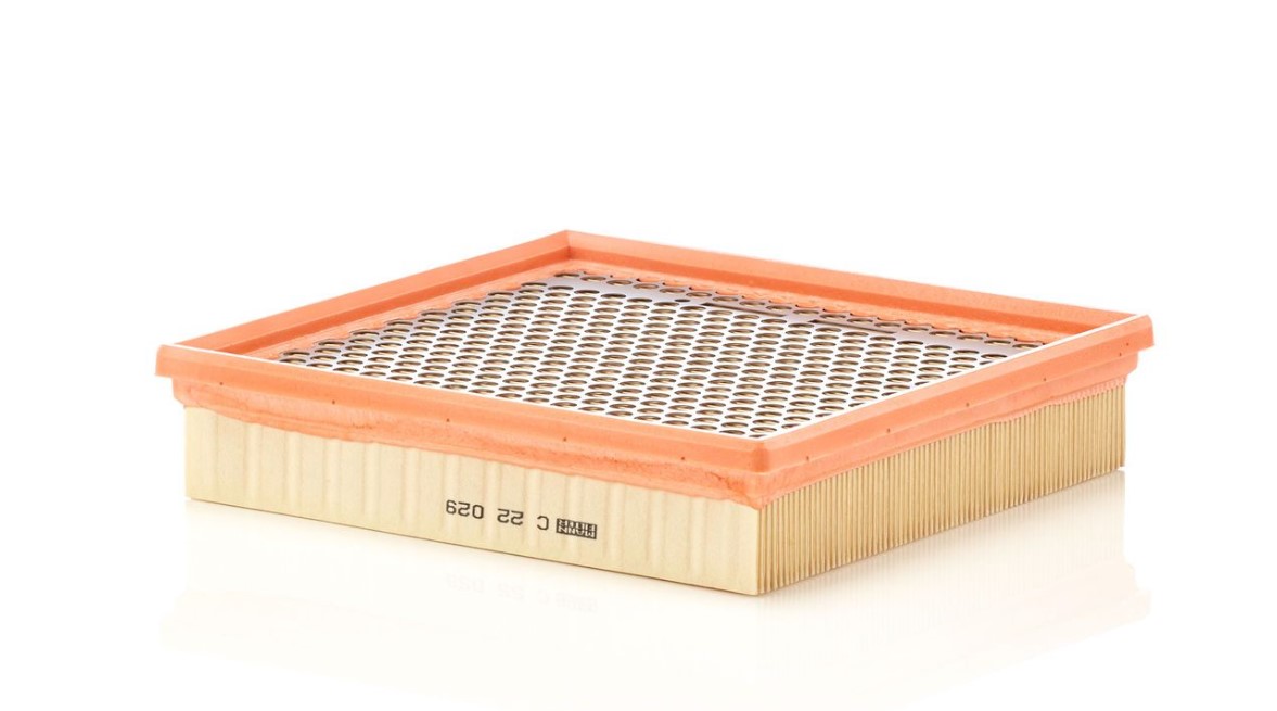 Фильтр воздушный MANN-FILTER C22029