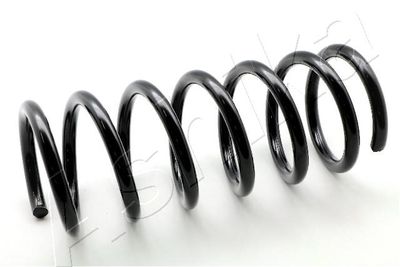 Пружина задняя STANDARD SPRINGS ST110101R