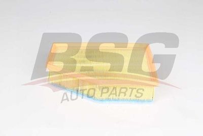 Фильтр воздушный BSG BSG15135026