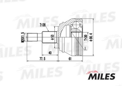 ШРУС наружный Miles GA20021