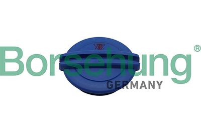Крышка бачка расширительного Borsehung B19281