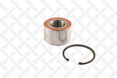 Подшипник ступицы колеса заднего комплект STELLOX 4328064SX