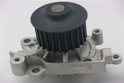 Насос водяной GMB GWM59A