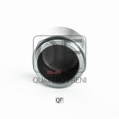 Поршень тормозного суппорта QUATTRO FRENI QF30F00000