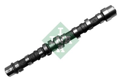Распредвал INA 428010310