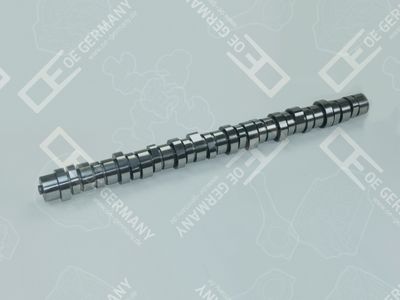 Распредвал OE GERMANY 030500D13A01