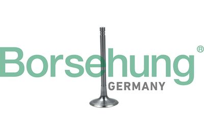 Клапан впускной Borsehung B19024