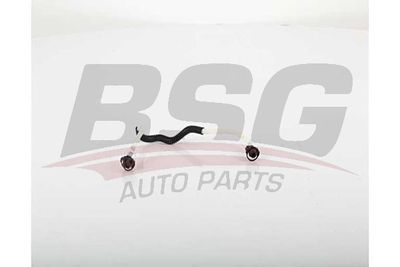 Шланг топливный BSG BSG60725004