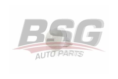 Клипса крепежная BSG BSG15995001