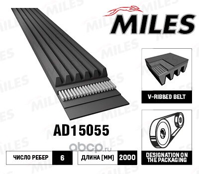 Ремень поликлиновой Miles AD15055