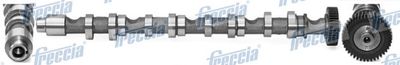Распредвал FRECCIA CM052196