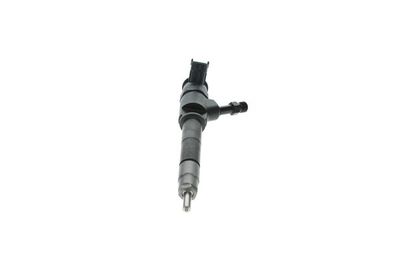Форсунка BOSCH 0445110250