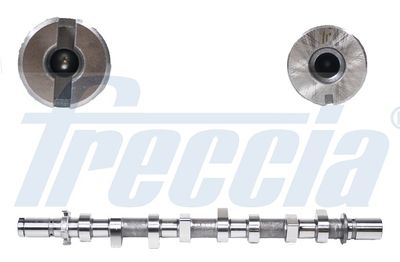 Распредвал FRECCIA CM052185